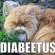 Illustration for article titled Stupid, stupid diabeetus.